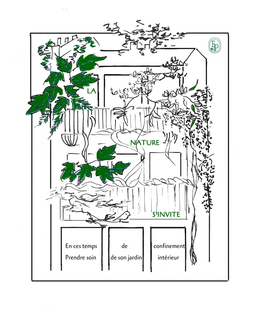 3.Soin des sens Prendre soin de son jardin intérieur Dessin plume croquis contemplatif confinement