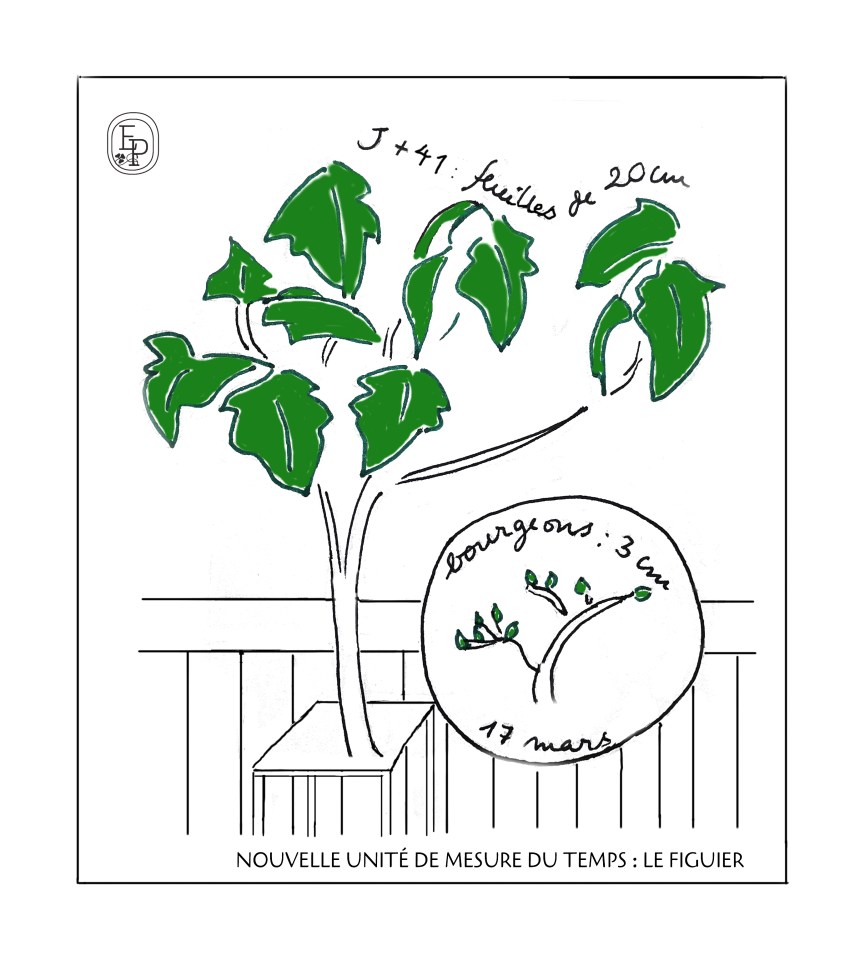 dessin plume n°4 Soin des sens Emilie Pruvost