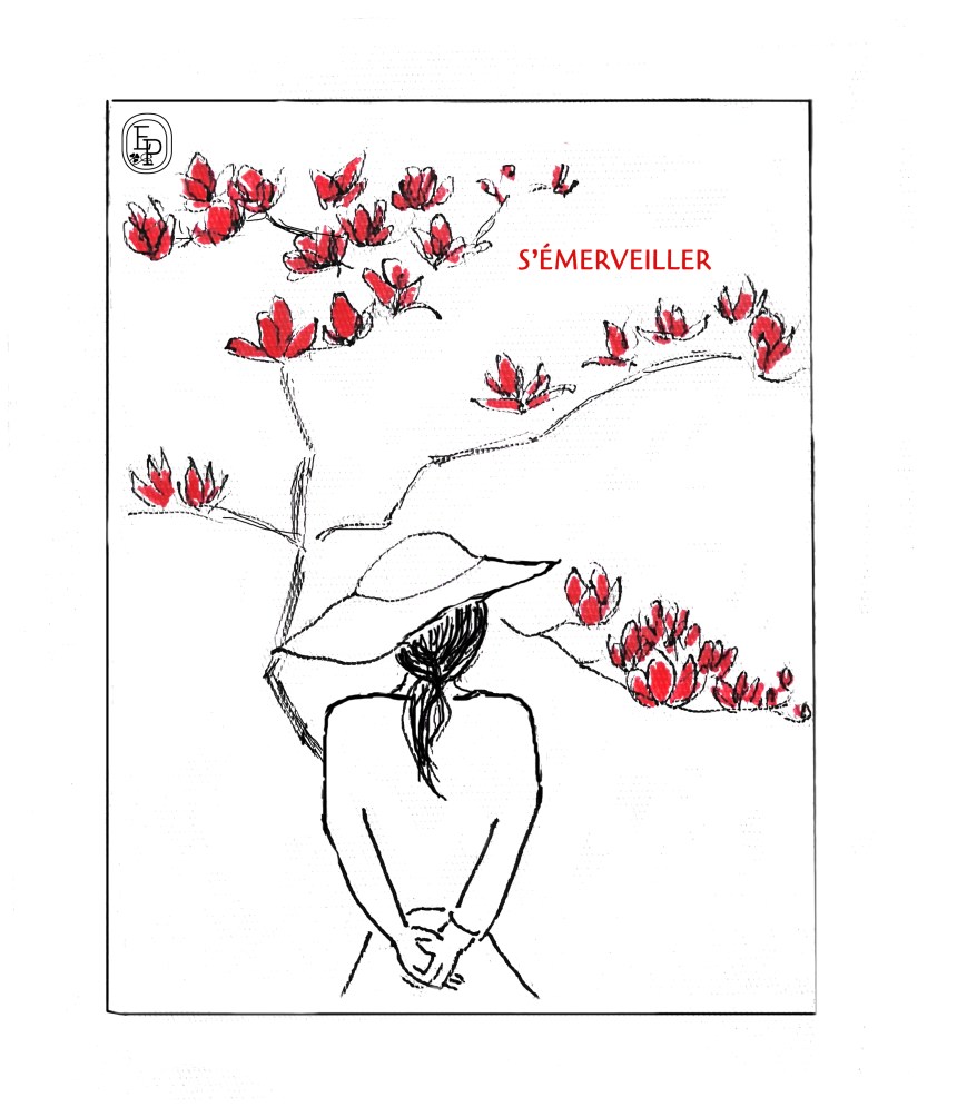 Dessin plume n°8 " S'émerveiller" Dessin plume croquis contemplatif confinement