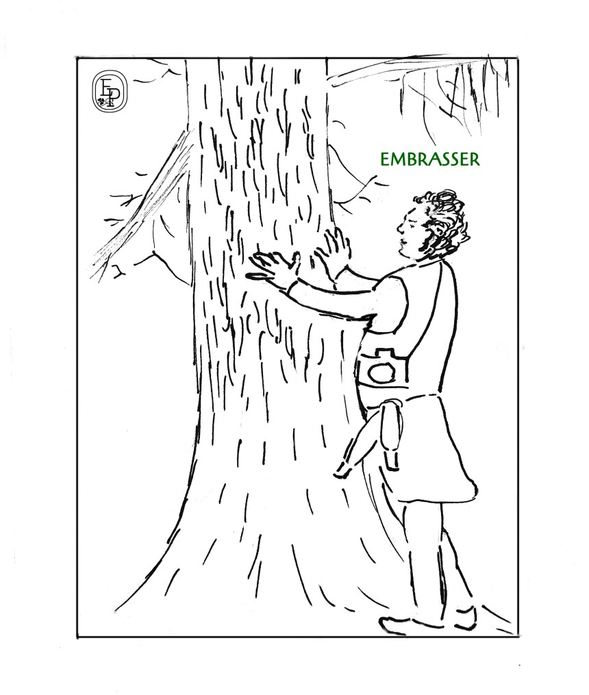 9.Soin des sens embrasser Dessin plume croquis contemplatif confinement