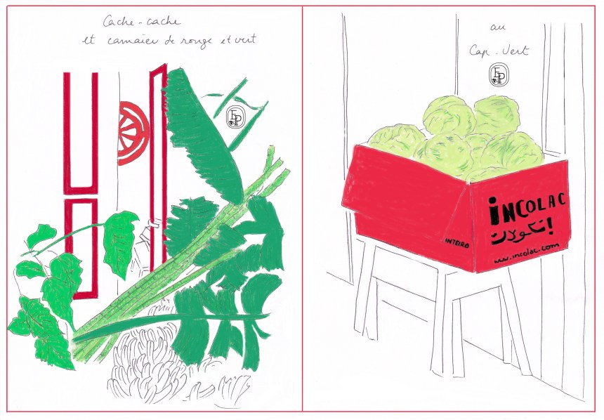 Carnet de voyage - Camaïeu rouge et vert au Cap Vert - © Émilie Pruvost tous droits réservés