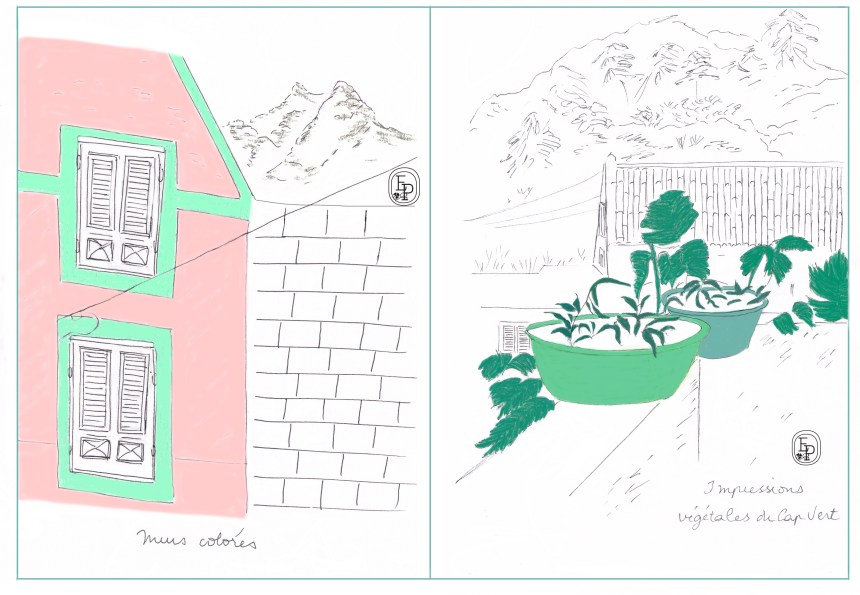 Carnet de voyage - Impressions végétales du Cap vert - © Émilie Pruvost tous droits réservés